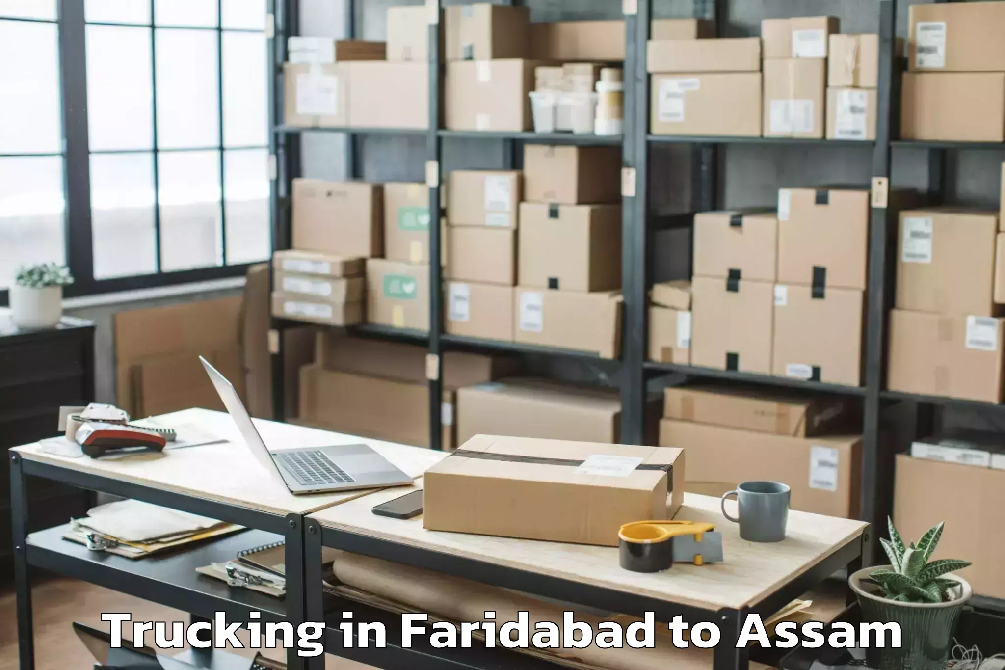 Discover Faridabad to Barpathar Trucking